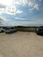 Vente à la ferme Au Jardin des 4 saisons - Chapeau de Paille 51 Route d Olwisheim Eckwersheim / 25 mini